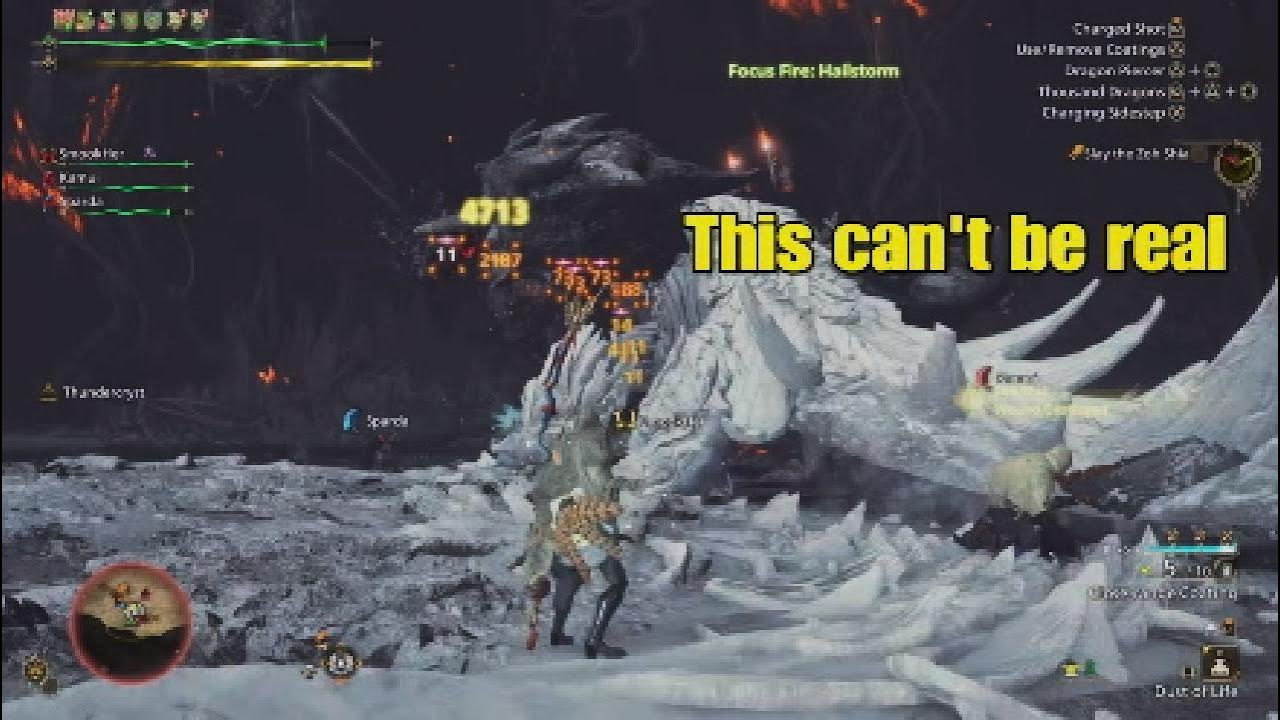 Amateur BOW BUILD doing BIG PP DAMAGE on Focus Strike Wounds - Monster Hunter Wilds