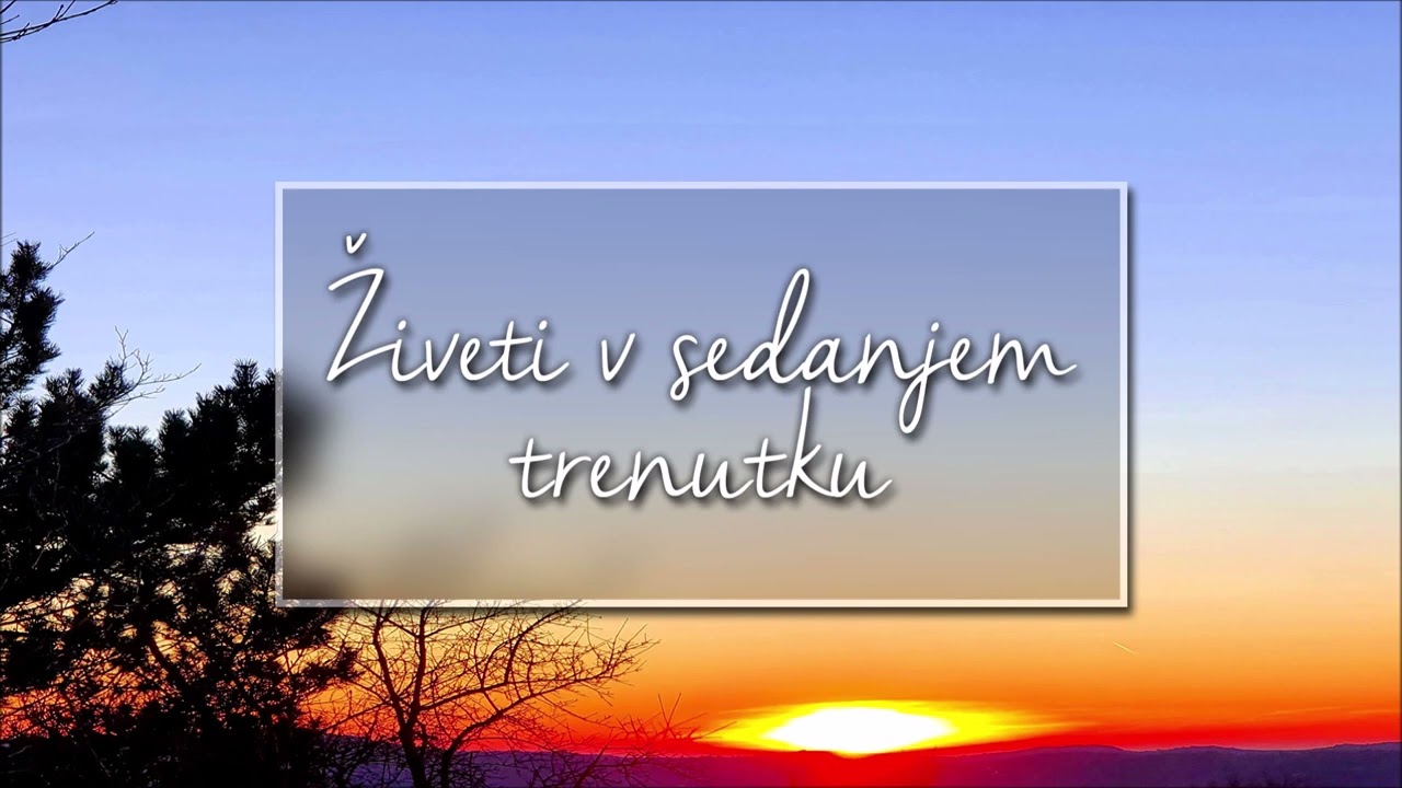 ŽIVETI TUKAJ IN SEDAJ - ŽIVETI V TEM TRENUTKU - ŽIVETI V SEDANJOSTI: Le ta trenutek ima moč