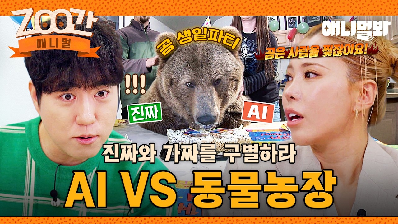 [#Zoo간애니멀] 동물농장 덕후라면 구별하기 쉬우시죠??😏 Ai VS 동물농장 가짜를 찾아라! I EP.1264 #TV동물농장 #AnimalFarm #애니멀봐