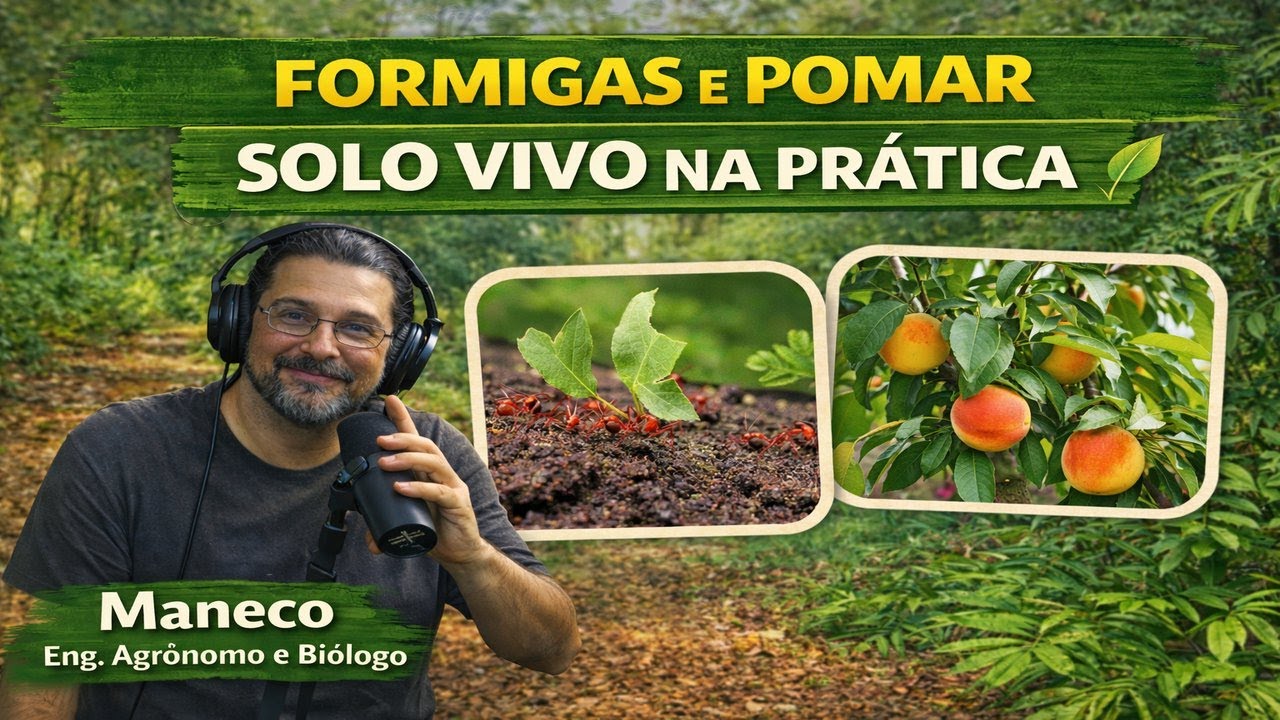 Formigas e Pomar 🌿 Sustentabilidade na Prática | Plantar em Casa @ruralcampocast