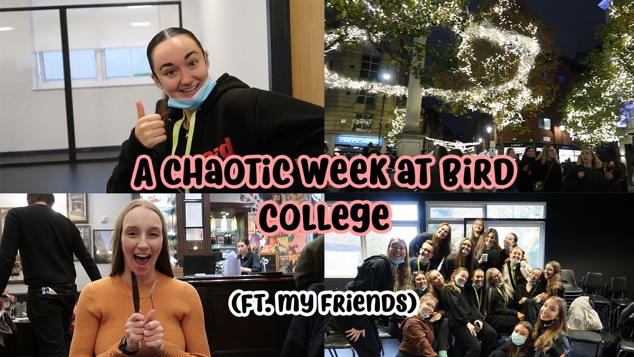 A CHAOTIC WEEK AT BIRD COLLEGE!