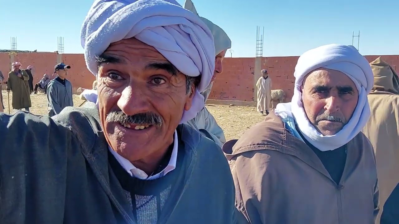 سوق المواشي🐏 والمعز بولاية سعيدة 🐏 سوق قلايعا 🐏بلدية سيدي حمد 🐏يوم الاحد 09/04/2023