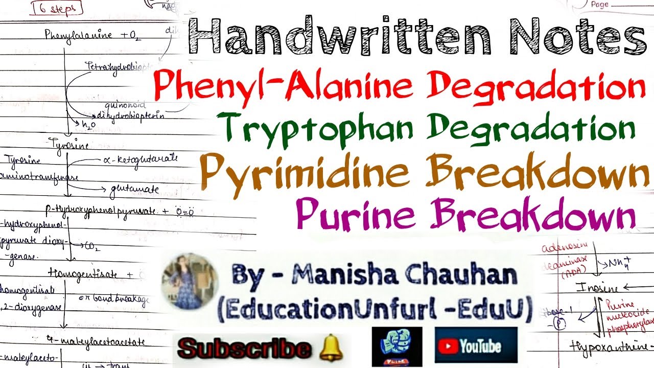 Phenyl Alanine & Tryptophan Metabolism, Pyrimidine & Purine Breakdown #LifeScienceHandwrittenNotes
