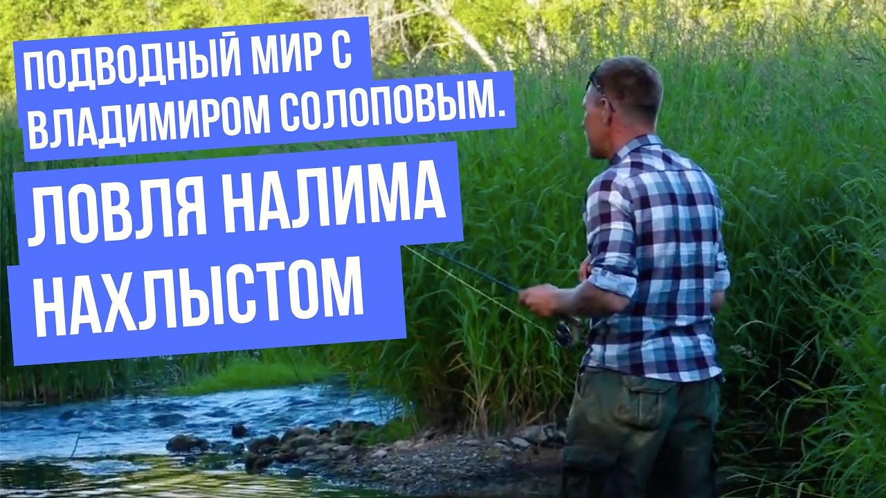 Ловля налима нахлыстом \ Подводный мир с Владимиром Солоповым.
