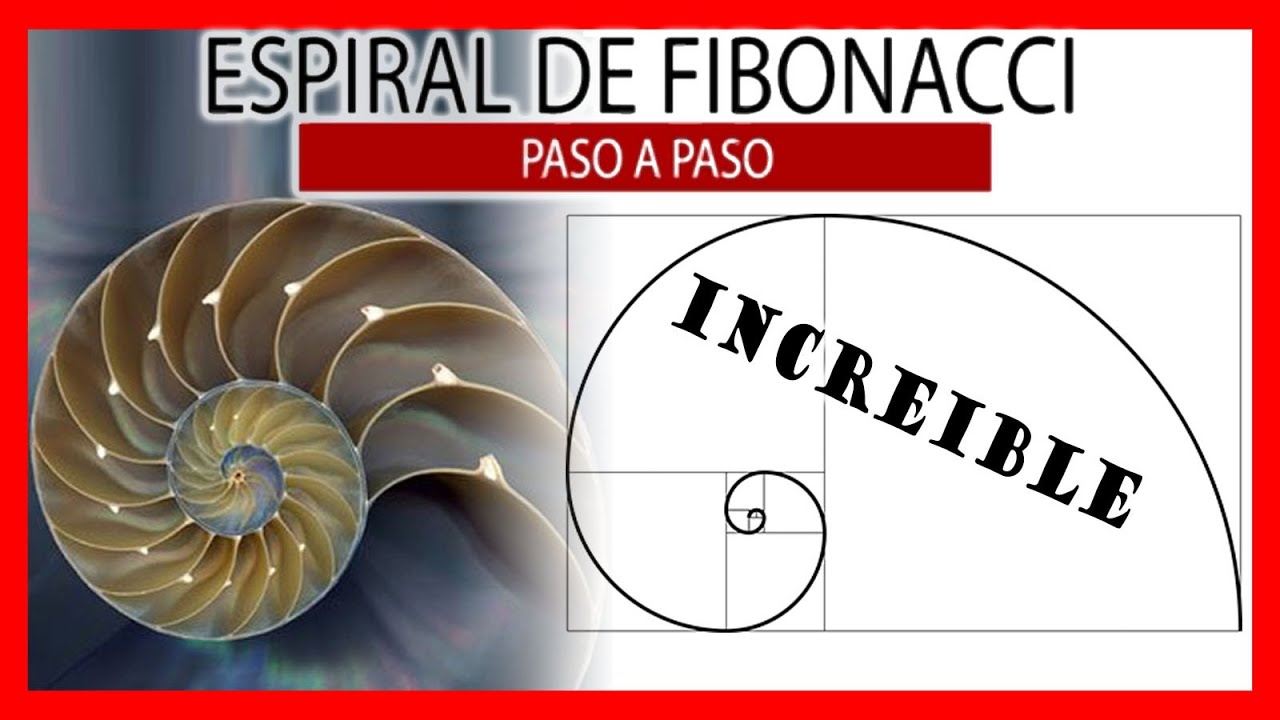 😵 ESPIRAL de FIBONACCI paso a paso 🌌 Espiral AUREA o de DURERO en la naturaleza
