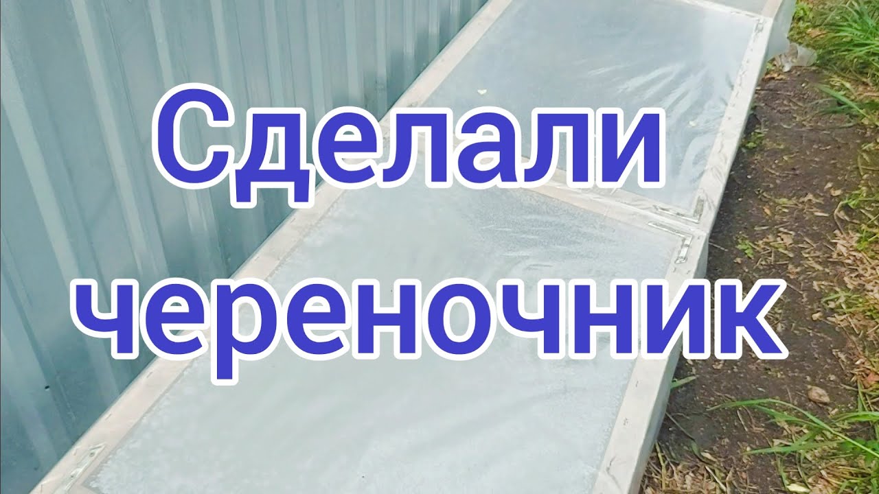 Еще один череночник. Перезимовали малыши в череночнике.🌱 Рабочие моменты