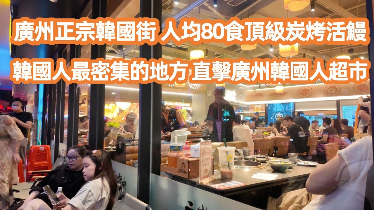 【廣州美食粵菜探店Vlog】廣州最正宗韓國街！人均80食頂級炭烤活鰻！極厚切豬五花！爆膏活鰻魚！性價比全城最高！韓國人最密集的地方！直擊廣州小首爾！Canton Food Tour｜GuangZhou