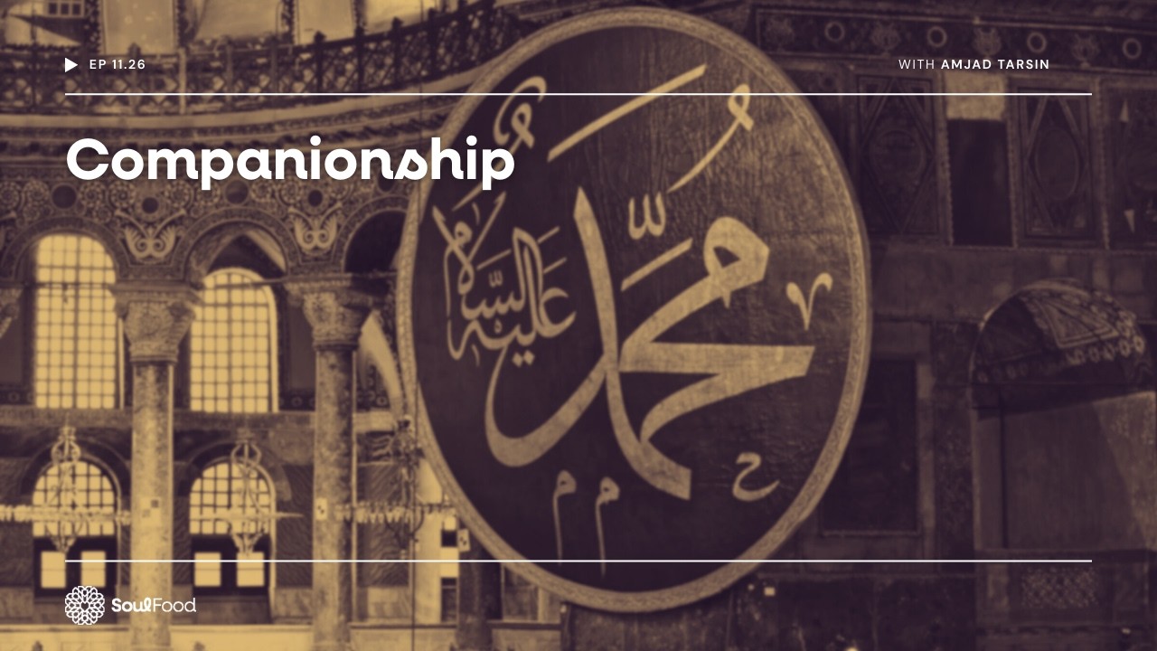 Episode 11.26 - Companionship