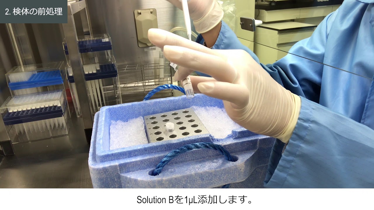 新型コロナウイルスPCR検査キット-使用方法の流れ : SARS-CoV-2 RT-qPCR Detection Kit Ver.2