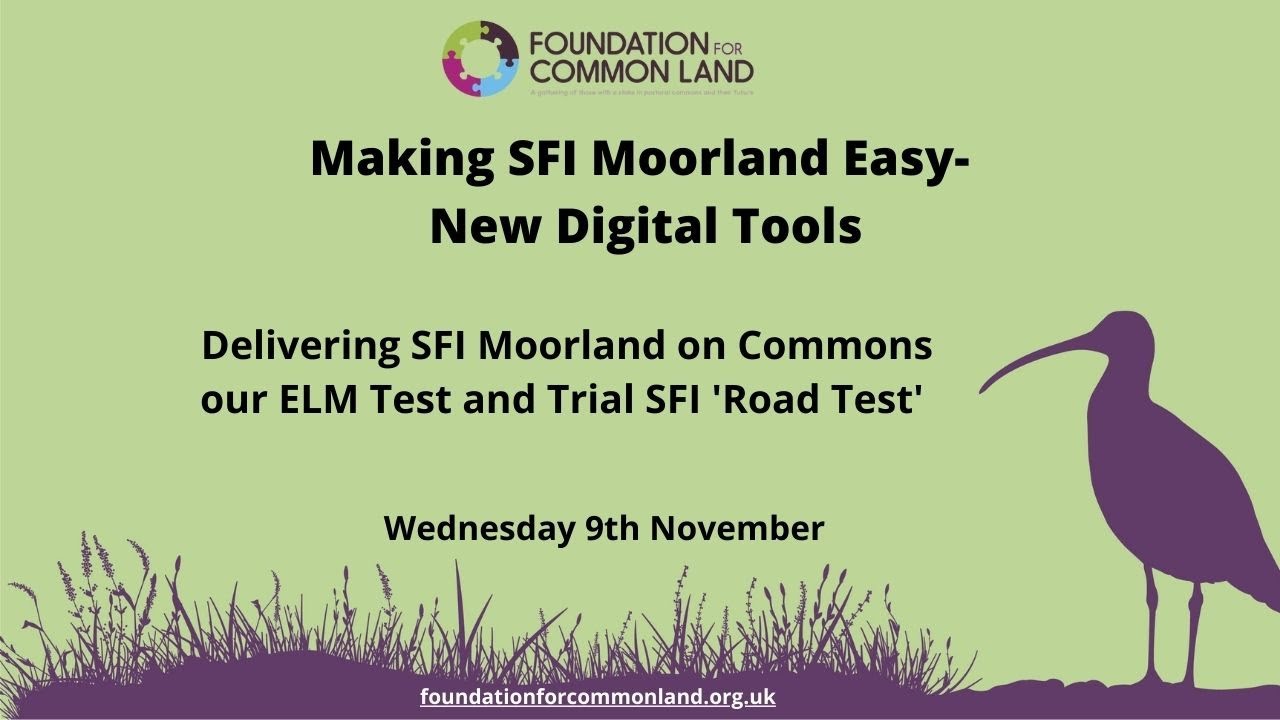 SFI Moorland Assessment - Launching our Digital Surveying Tool & Everything you need to know