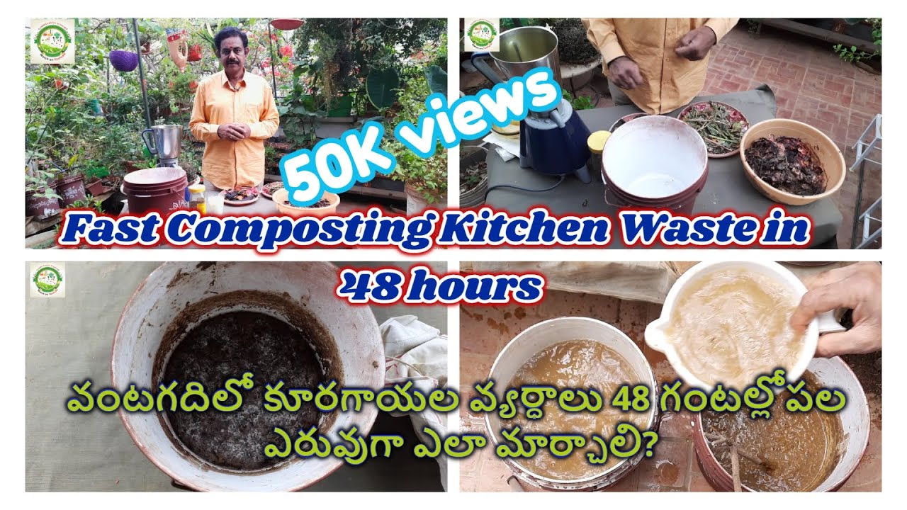 Faster Composting Kitchen Waste in 48 Hours | వంటగది వ్యర్దాలు ఇలా ఎరువుగా మార్చేయండి
