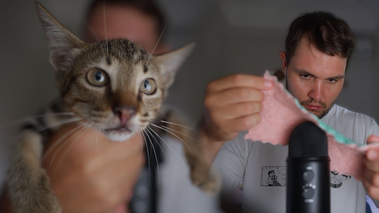 ASMR Mic Triggers + Cute Kitty