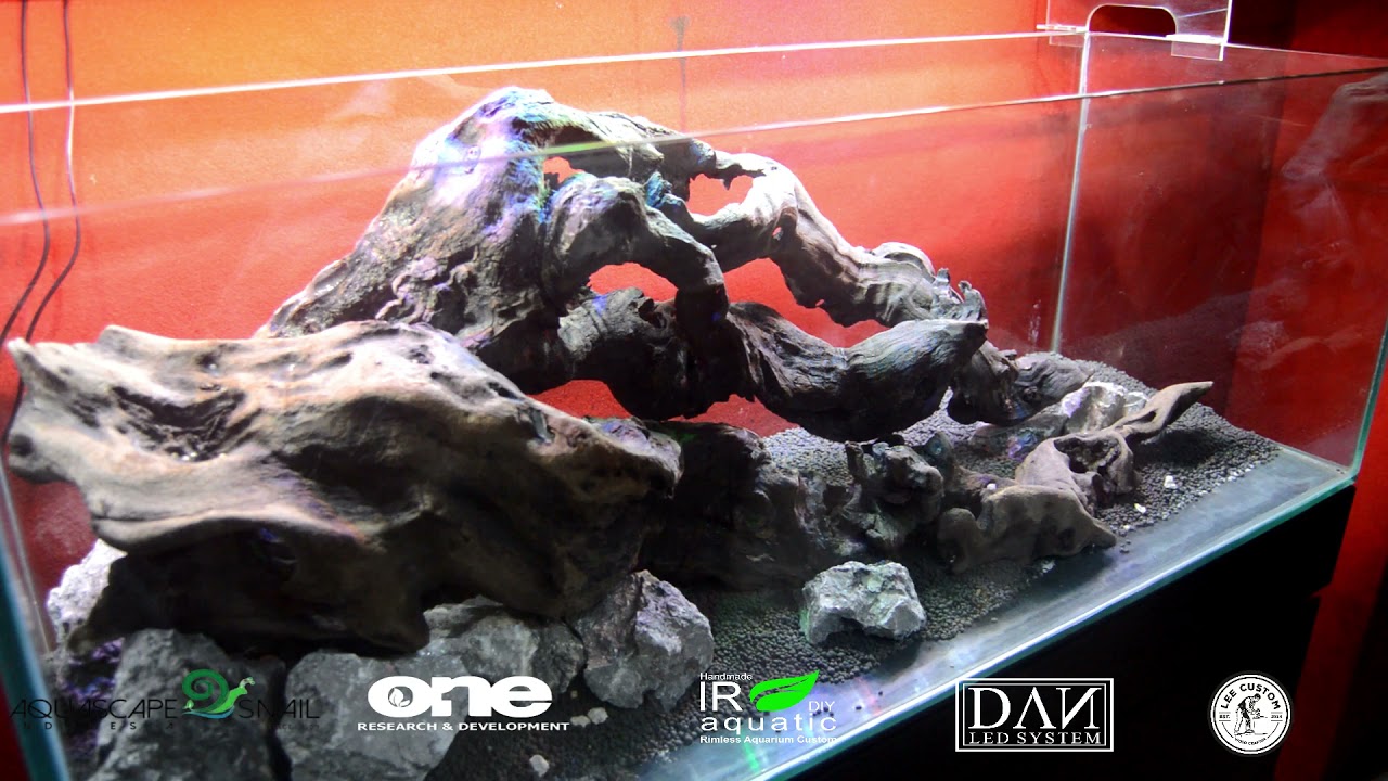 Bikin aquascape tank 1 meter. kita cycling dulu lurr.... biar gresss hasilnya.