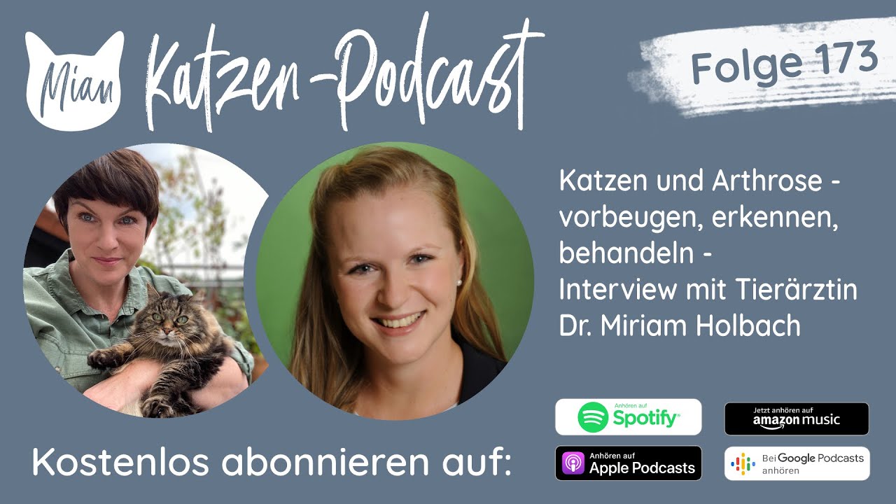 #173  Katzen und Arthrose - vorbeugen, erkennen, behandeln |  Miau Katzen-Podcast