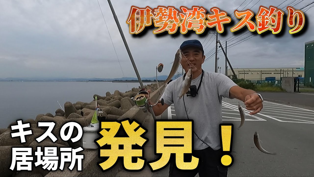 まだまだキス釣り、諦めてませんよ！