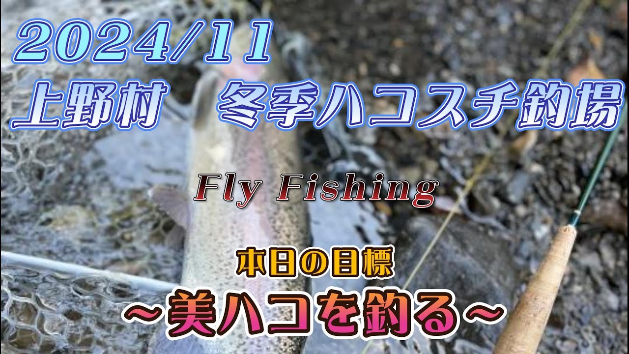 【フライフィッシング】2024年11月　冬季ハコスチ釣場　美ハコを釣るゾ！in群馬県上野村