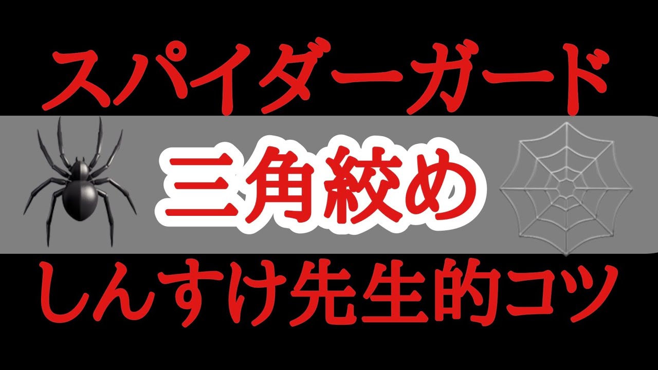 【しんすけ先生】スパイダーガード〜三角絞めコツ①