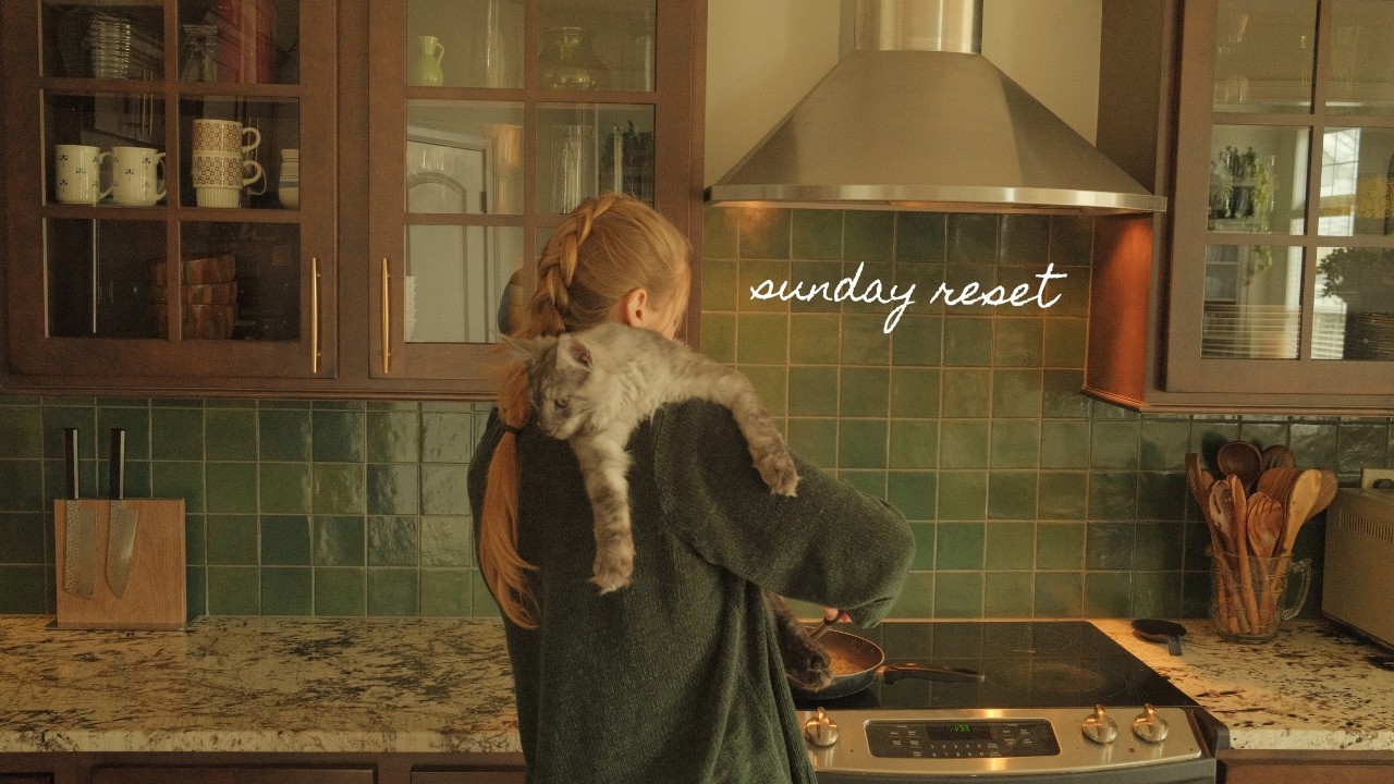 a very regular mundane sunday (resetting, kitten update, outfit try on, etc.)