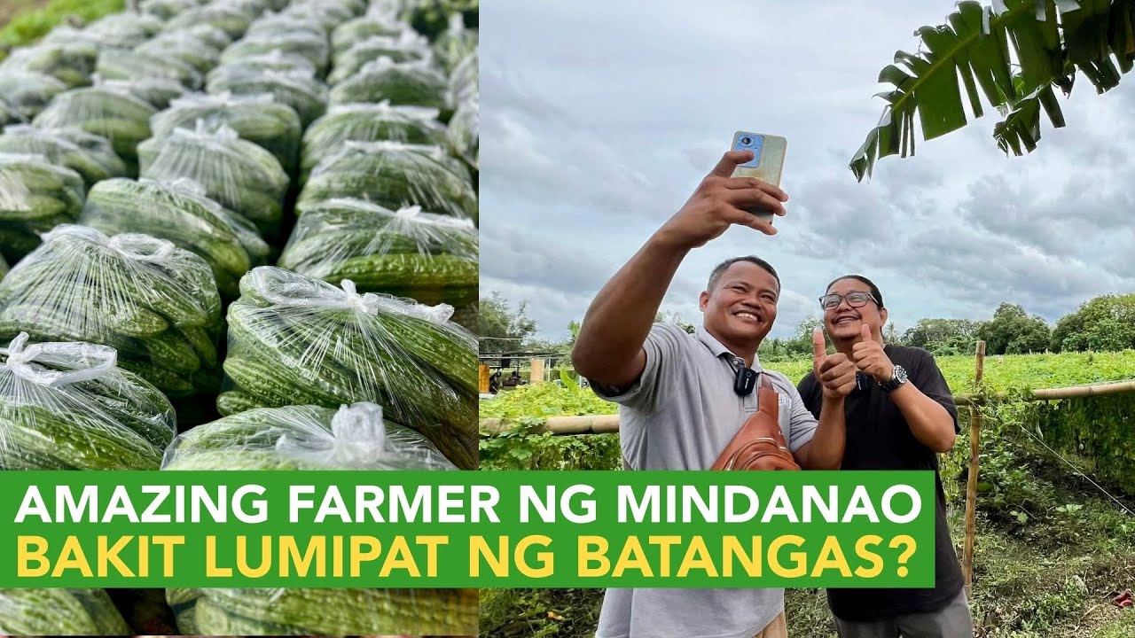 Pinaka Magaling na Vegetable Farmer ng Mindanao, Bakit Lumipat sa Batangas?