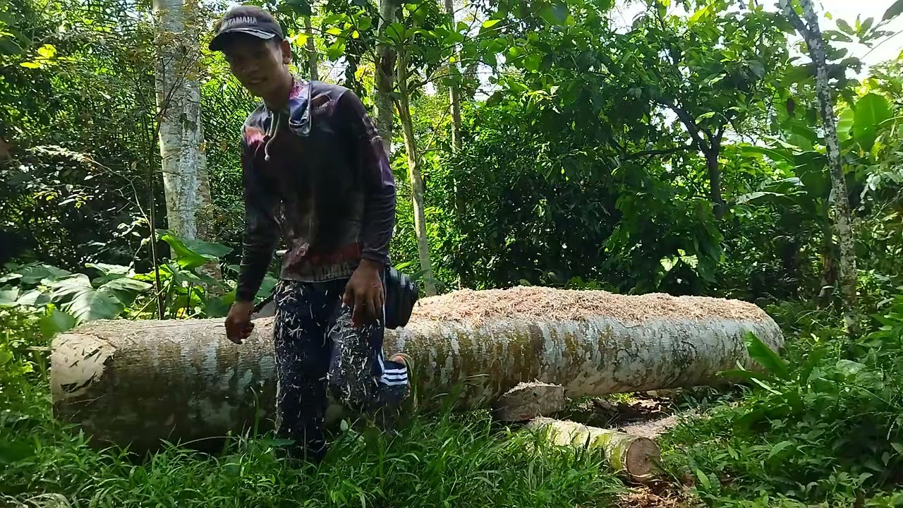 @tukang gaji Fyp