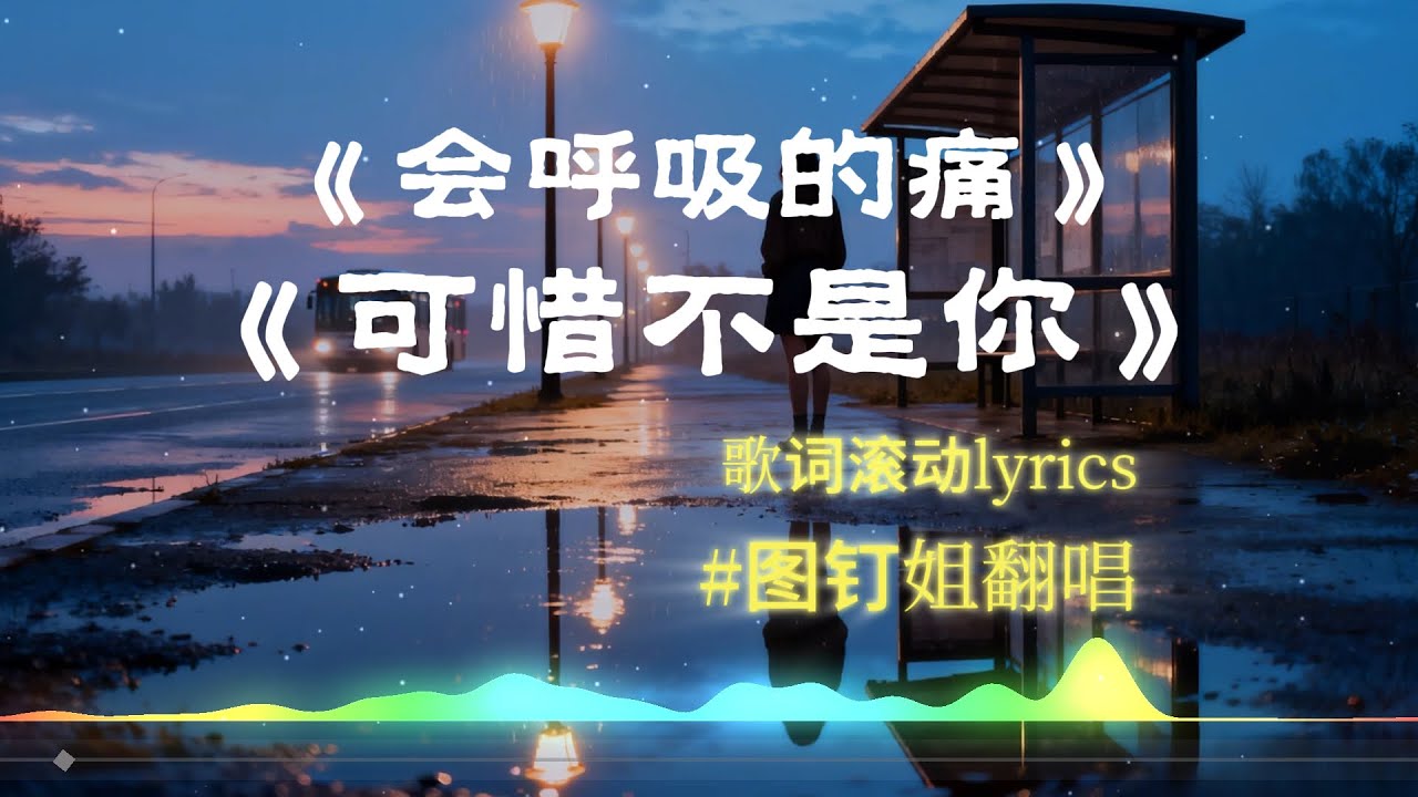 【会呼吸的痛】+【可惜不是你】图钉姐翻唱 梁静茹的歌曲 【动态歌词lyrics】经典歌曲 #中文歌曲翻唱