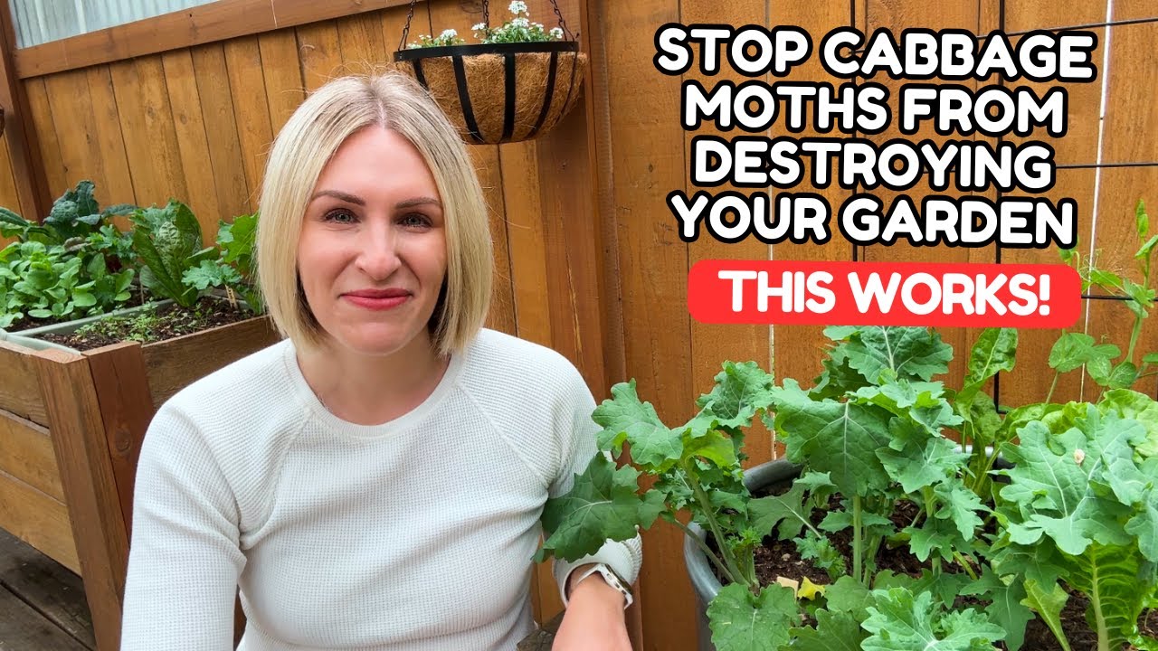 How I Keep Cabbage Moths From Destroying My Vegetable Garden