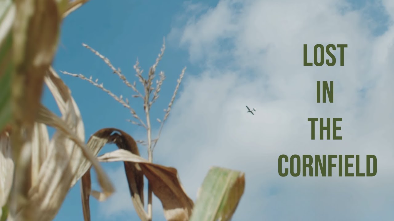 Lost in the Cornfield | Fall Cinematic Short Film (BMPCC 4K)