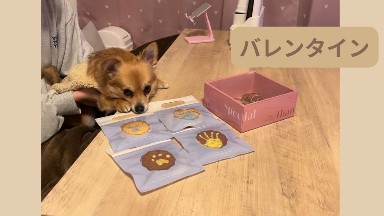 バレンタイン💝