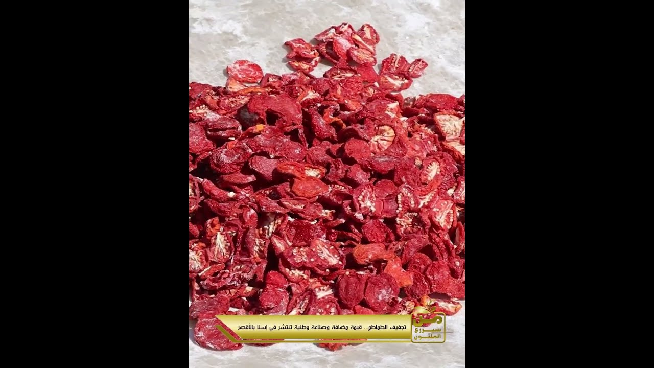 دول ملوك تجفيف الطماطم في إسنا بالأقصر.. بيكشوفوا أسرار الشغلانة
