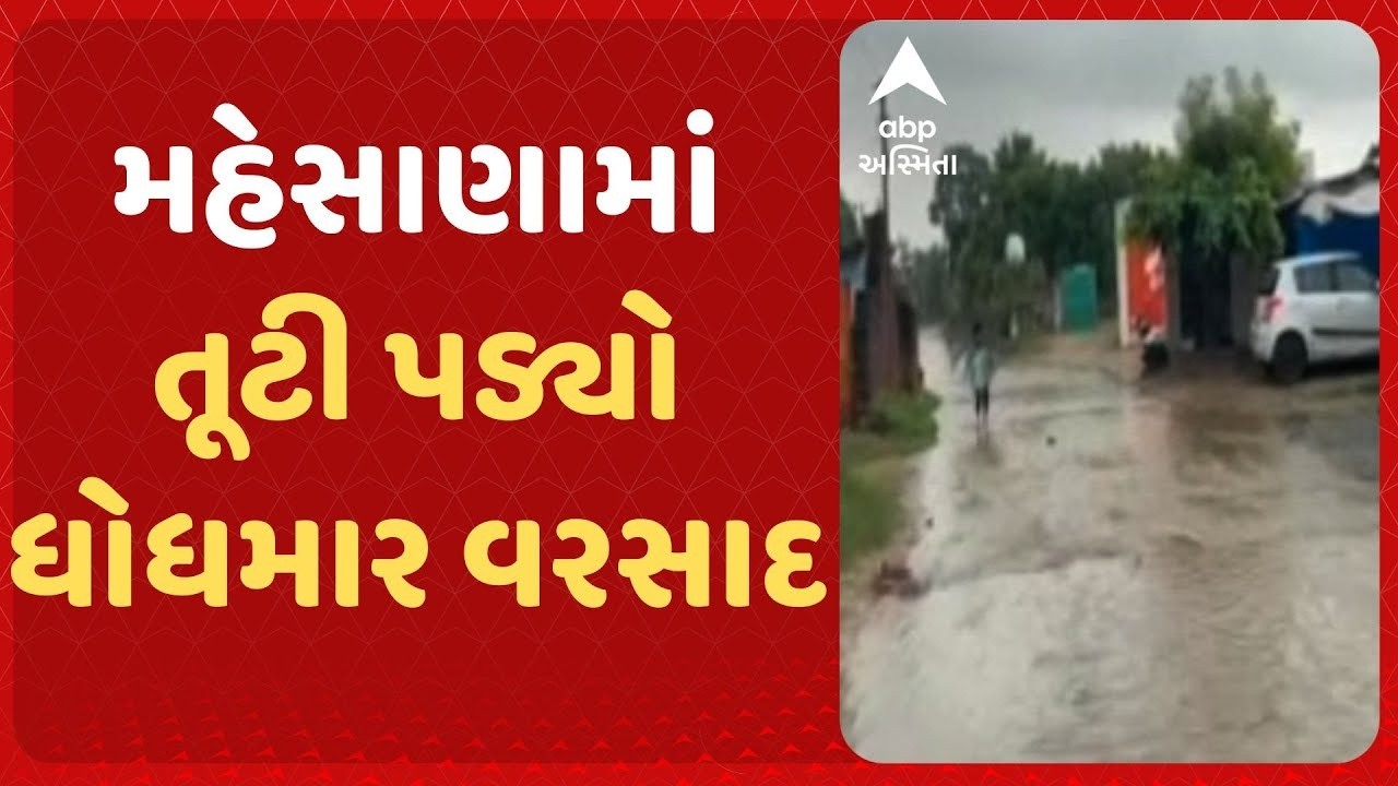 Mehsana Rain | લાંબા વિરામ બાદ મહેસાણામાં વરસાદ | મુરઝાયેલા પાકને મળશે જીવનદાન