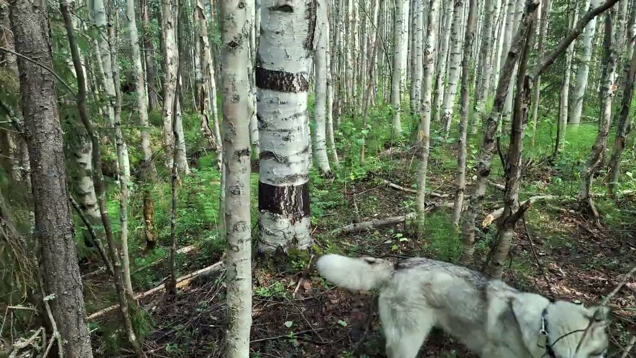 На природе