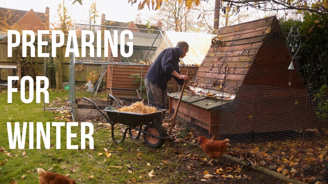 Preparing the Garden for Winter - Chickens and Clearing Leaves