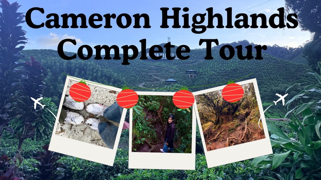 Don’t Miss This! Cameron Highlands COMPLETE Tour 🇲🇾 (Day 2) | RoamAroundWithAnitha