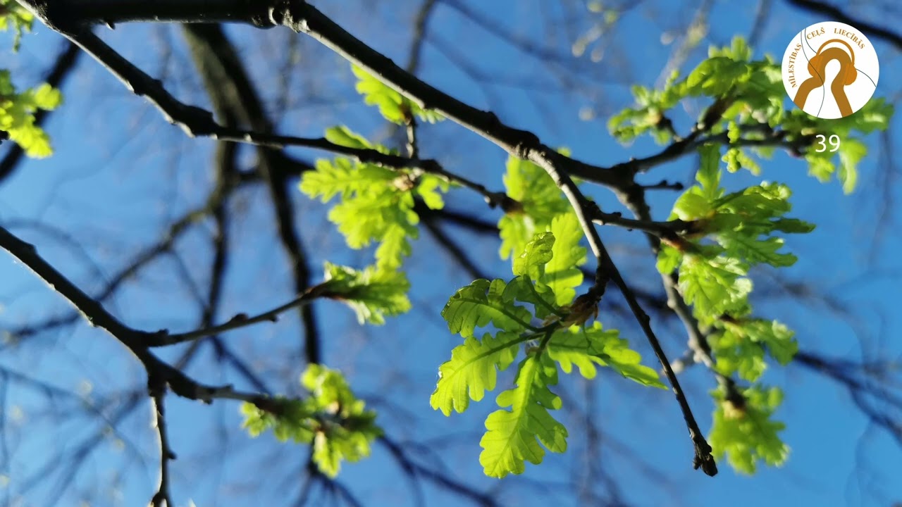 MĪLESTĪBAS CEĻŠ LIECĪBĀS | DIEVS IZGLĀBJ