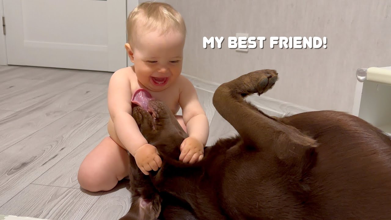 The Cutest Hug I've Ever Seen: My Baby and My Dog's True Friendship!