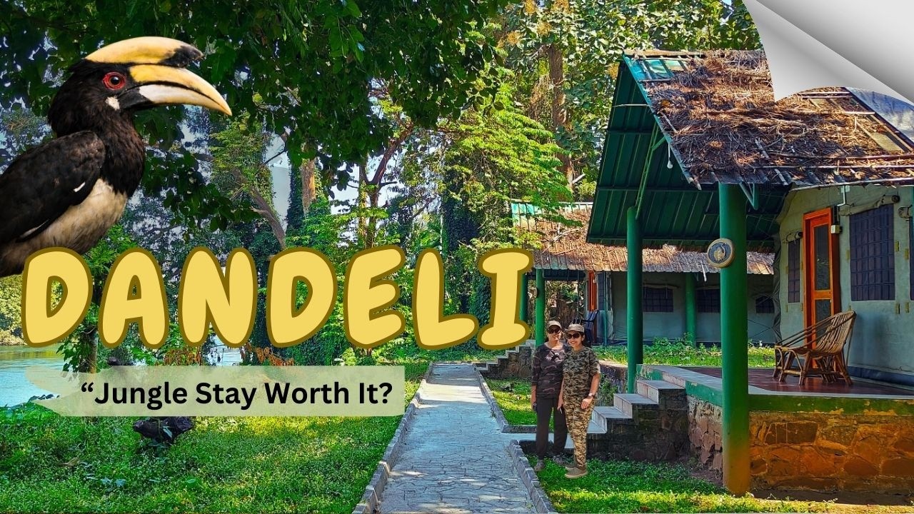 Kali Adventure Camp Dandeli Review | Rooms, Food & Package Details | Worth It? (Part 4)