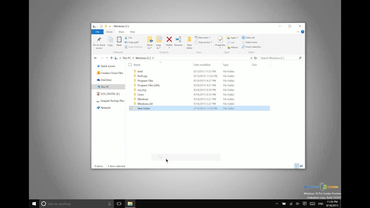 Windows 10 &mdash; Создание, копирование, перемещение и переименование файлов и папок