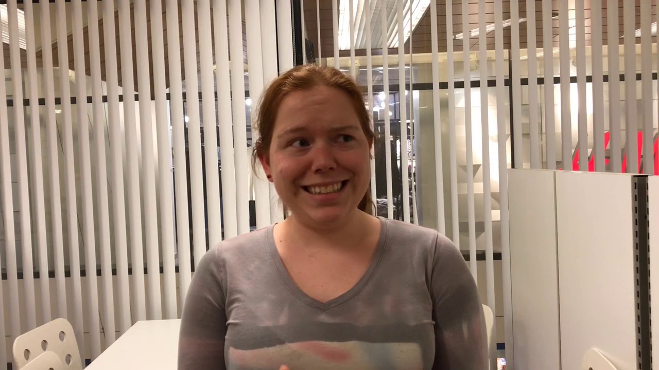 Dutch student explains job training through school