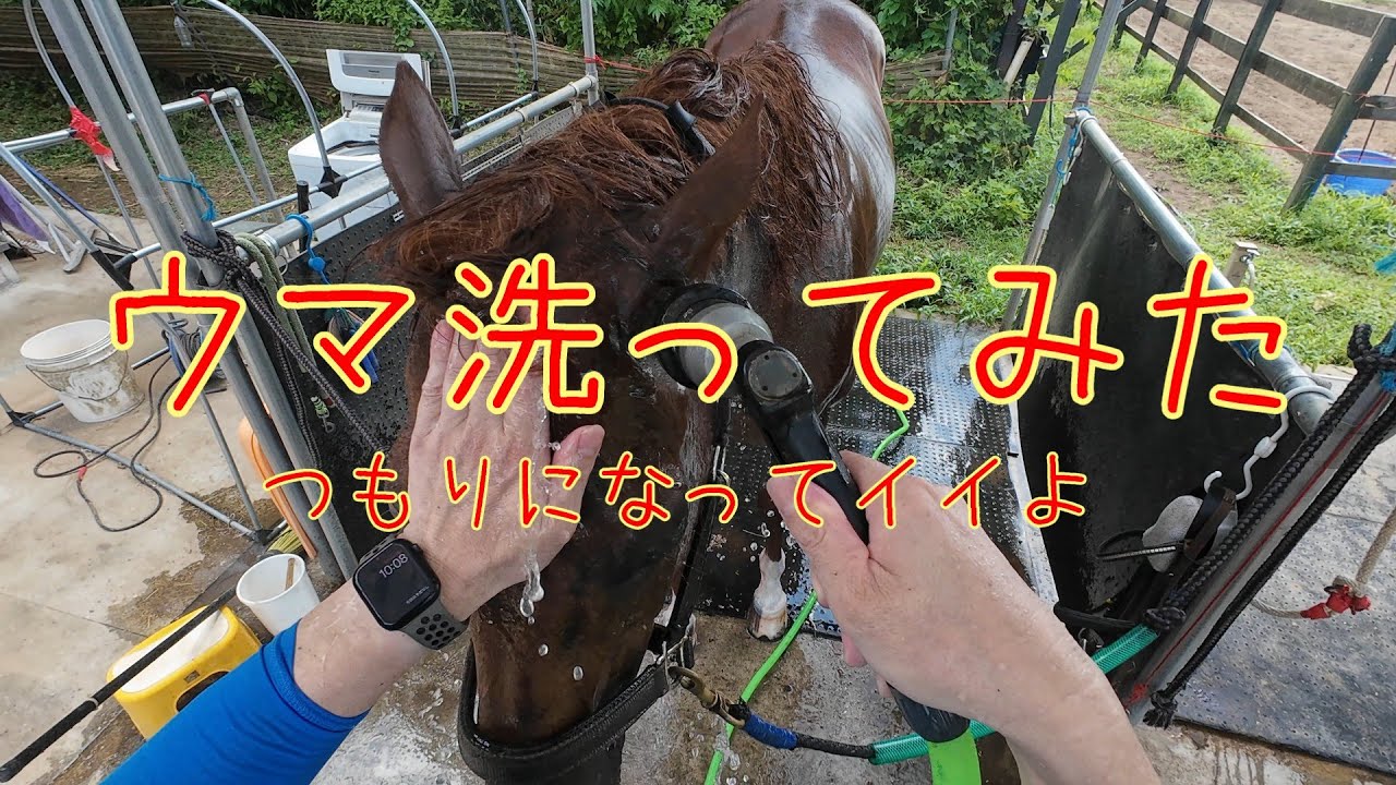 馬洗ってるつもりになってイイよ