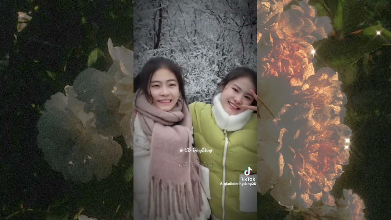 [tổng hợp video trên tiktok ding ding & dang dang]ding dang🥰😊