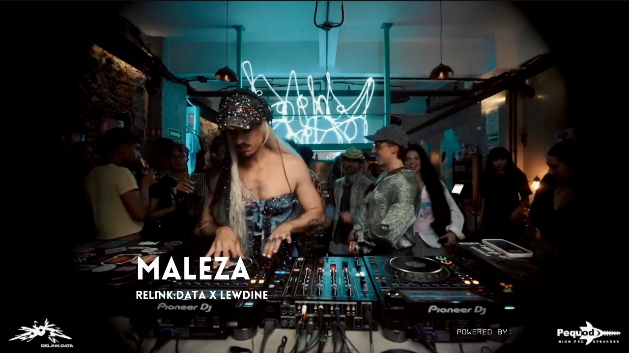 Relink:Data x Lewdine - Maleza