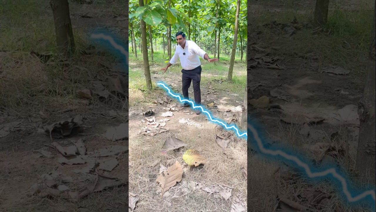 Drip irrigation in Teak Plants #teakplants #dripirrigationinteakplants #microirrigation