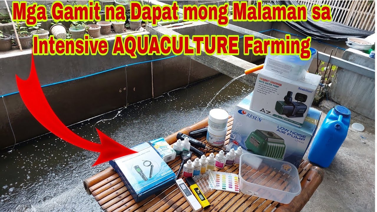Equipment Used in Intensive Fish Farming and pH Troubleshooting