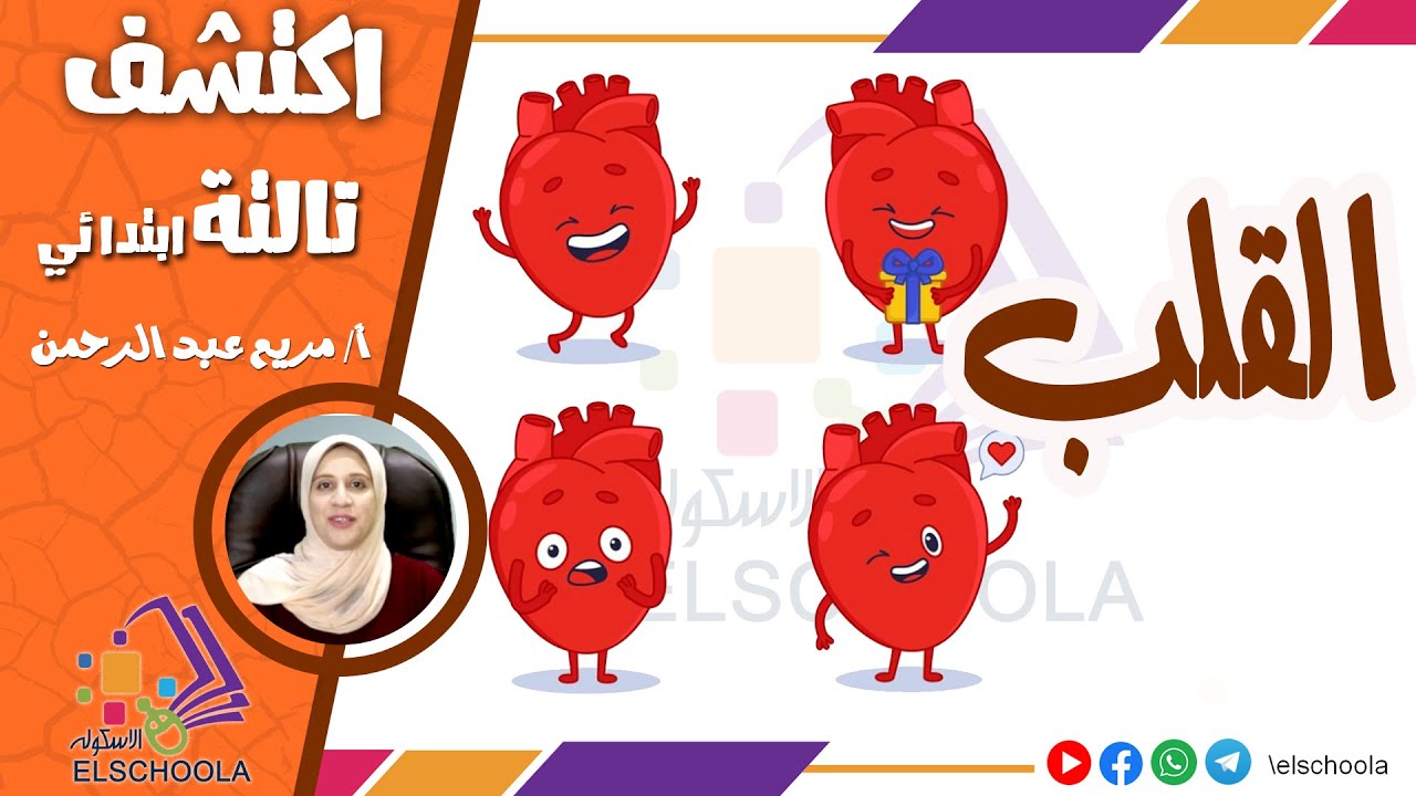 كيف يعمل القلب؟ | اكتشف تالتة ابتدائي | الاسكوله