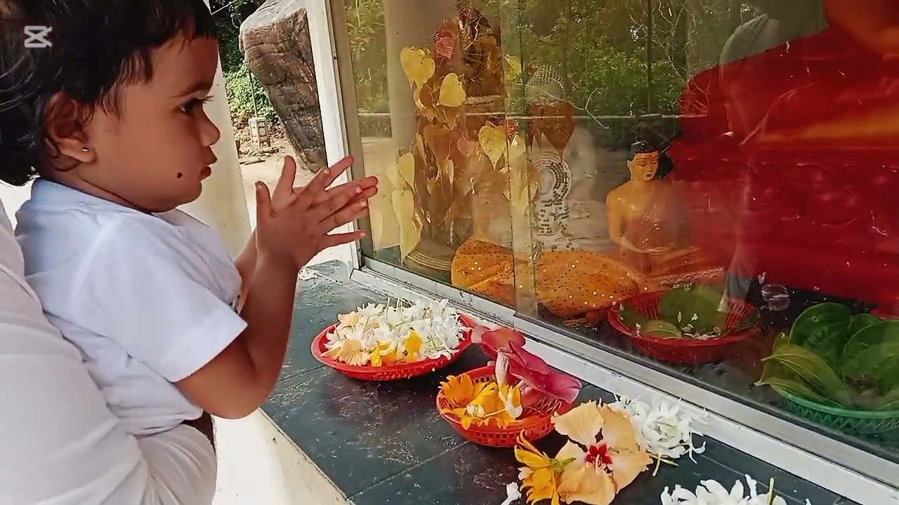 සුදු මැණිකේ එක්කං යාපහුව පන්සල් ගිය ගමන 🙏🙏🙏 දැදුරු ඔය ජලාශය බලන්න ගියා 🌊🌊🌊