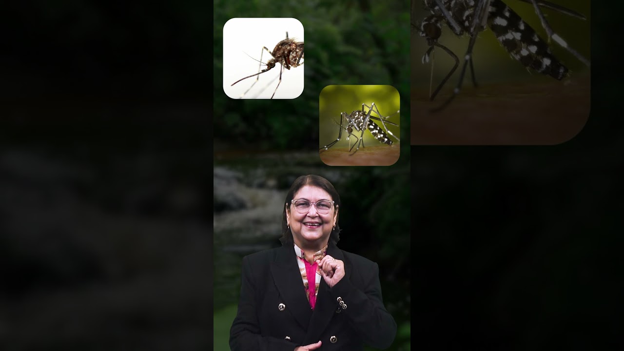 Biomimicry 🌿 | Nature-Inspired Innovation Explained | #Biomimicry #Innovation #physifer