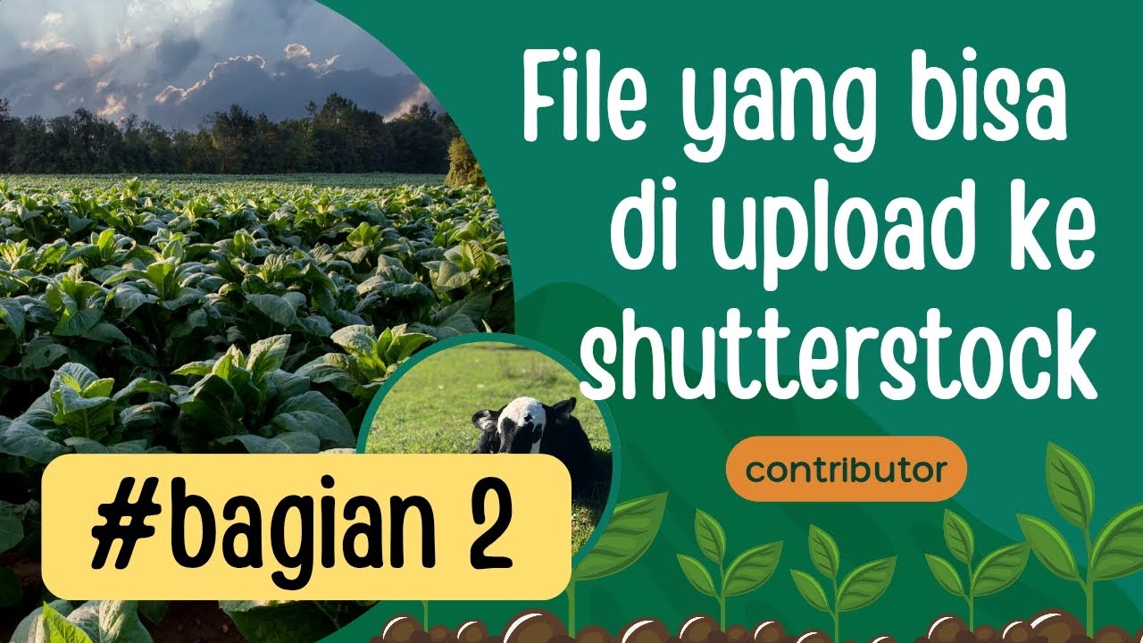 Jenis file apa saja yang bisa di upload ke shutterstock