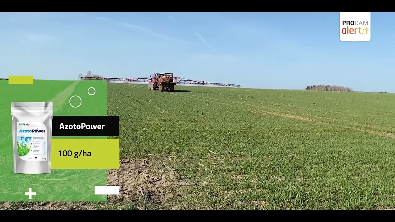 PROCAM Alert AzotoPower z RSM na pszenicę