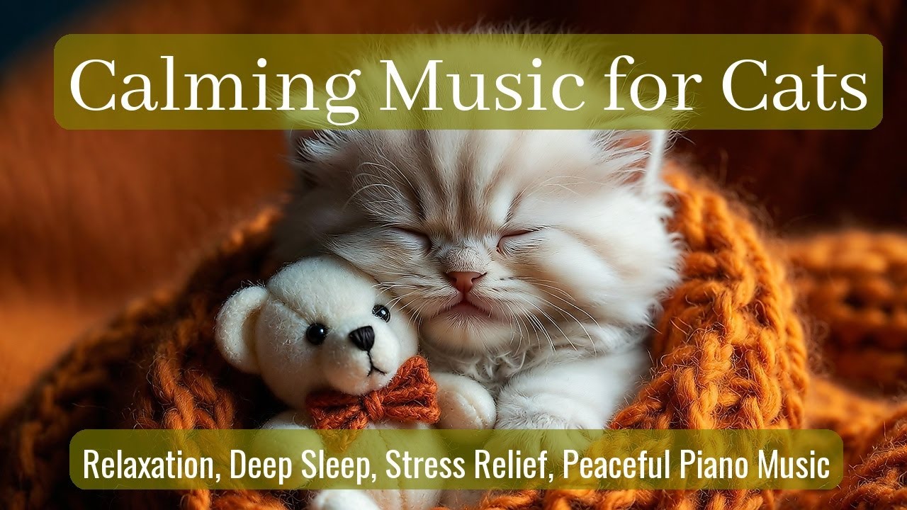 Calming Music for Cats - Relaxation, Deep Sleep, Stress Relief, Peaceful Piano Music | Season 48