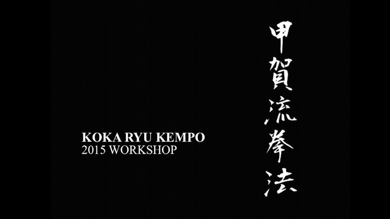 KEMPO TECHNIQUES 👊🏻 2015 Koka-ryu Kempo Keiko Training Workshop